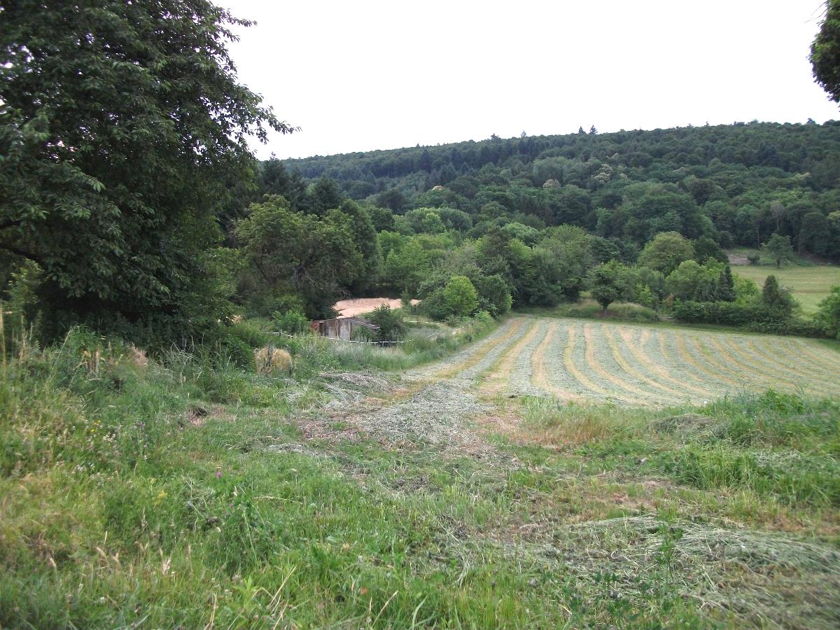 Aussicht vom Heg nach Nordwest