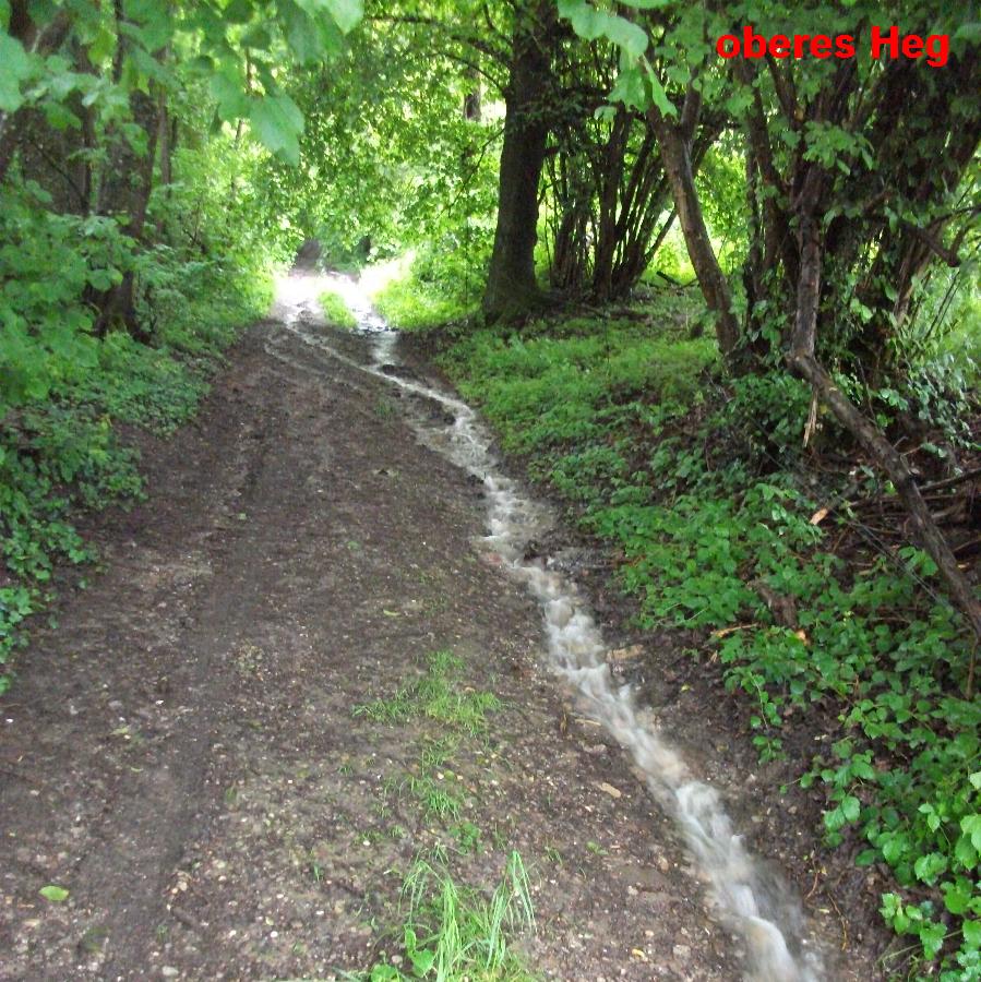 Verlauf Leimbach bzw. Schwöllbach