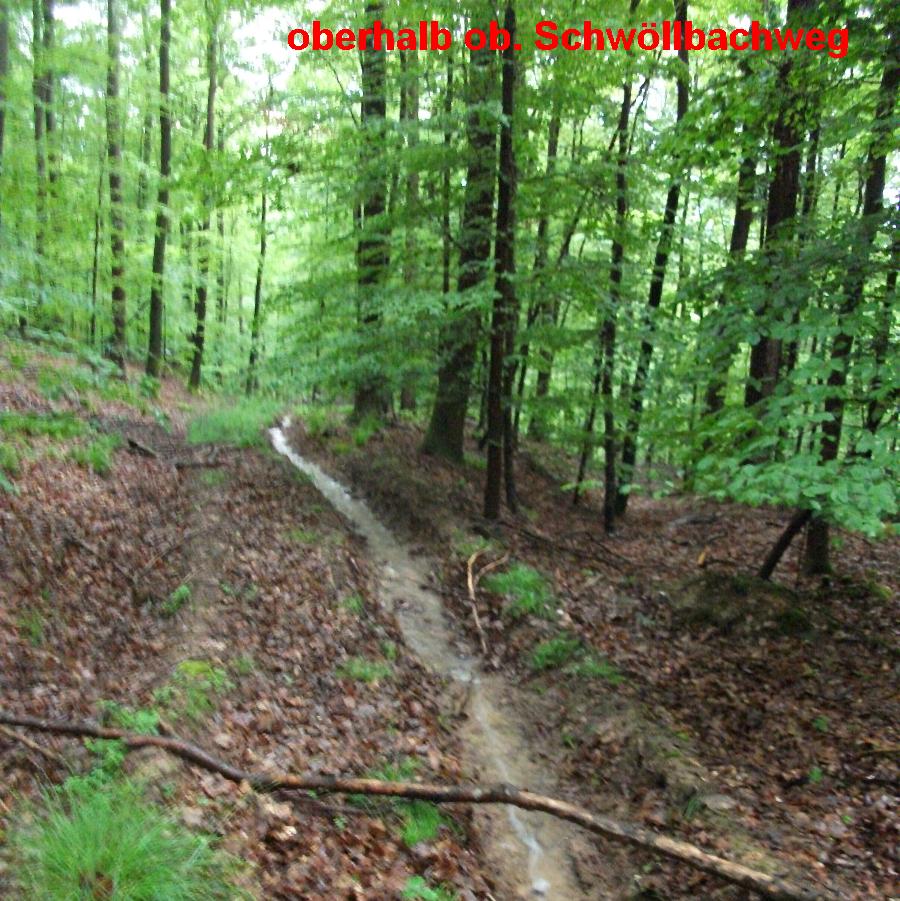 Verlauf Leimbach bzw. Schwöllbach