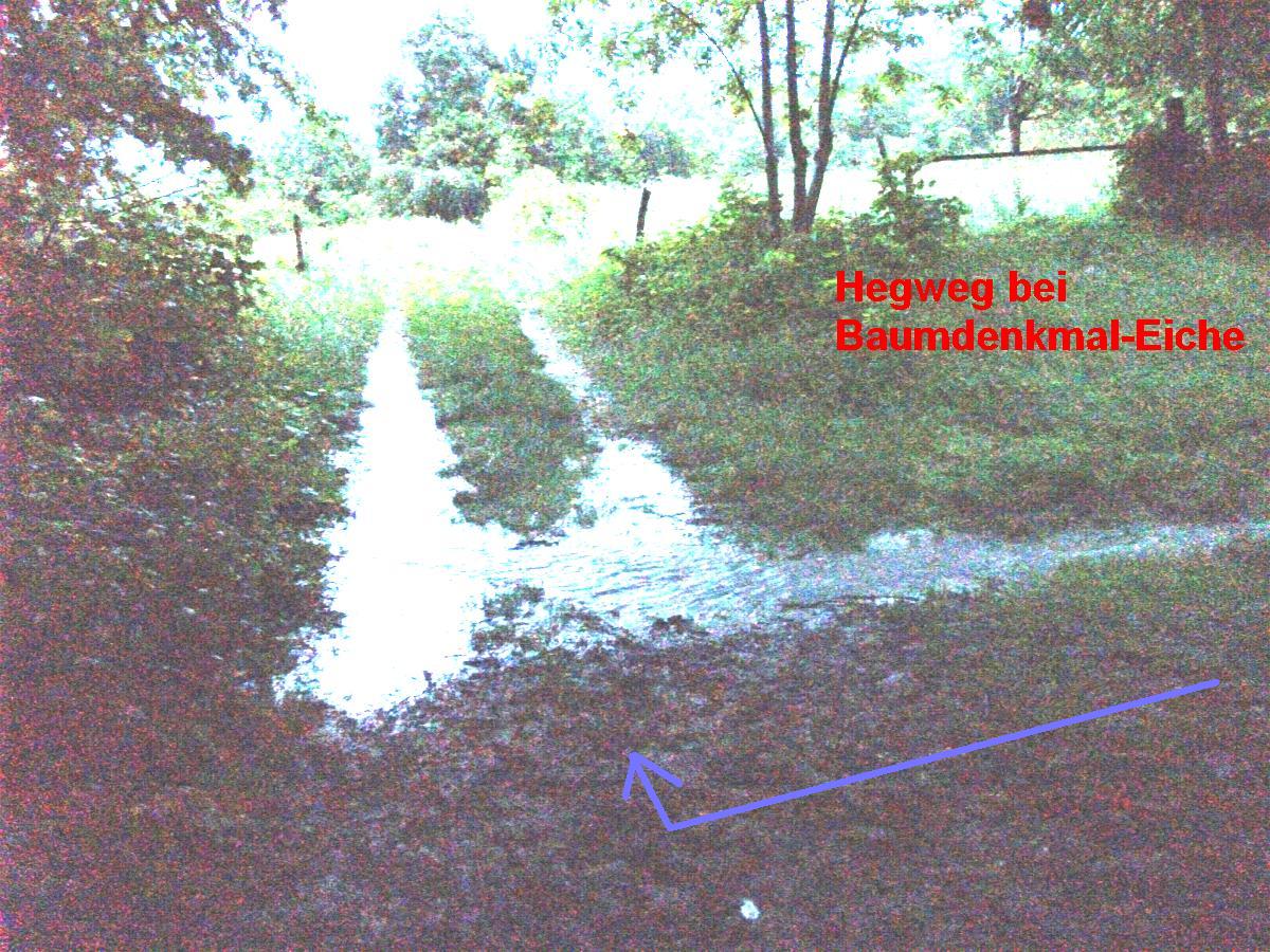 Verlauf Leimbach bzw. Schwöllbach