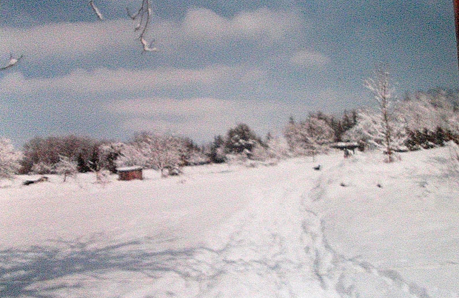 Winterstimmung im Heg
