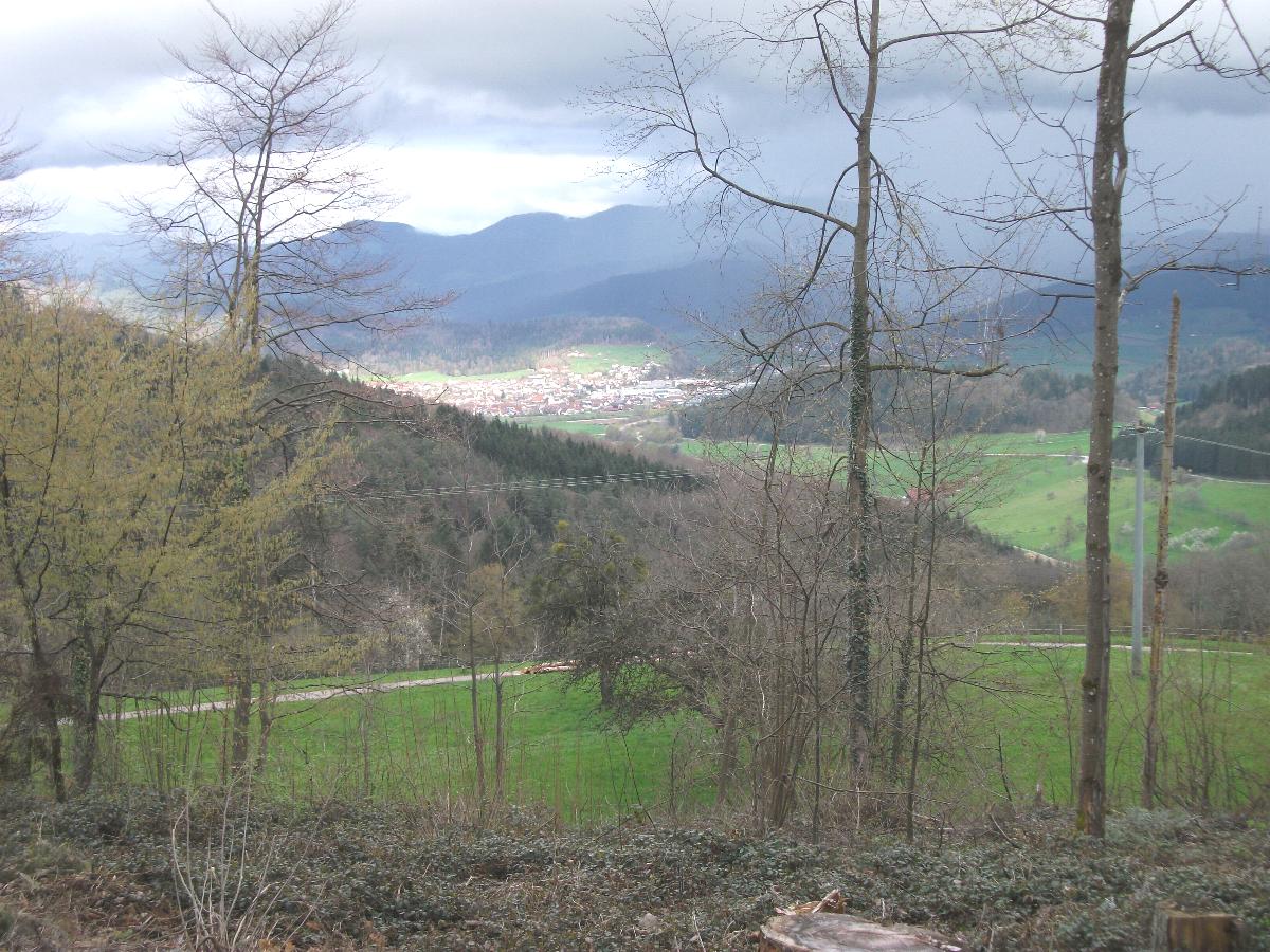 Burgruine Geroldseck