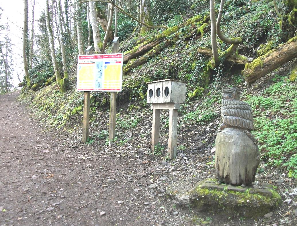 Burgruine Geroldseck