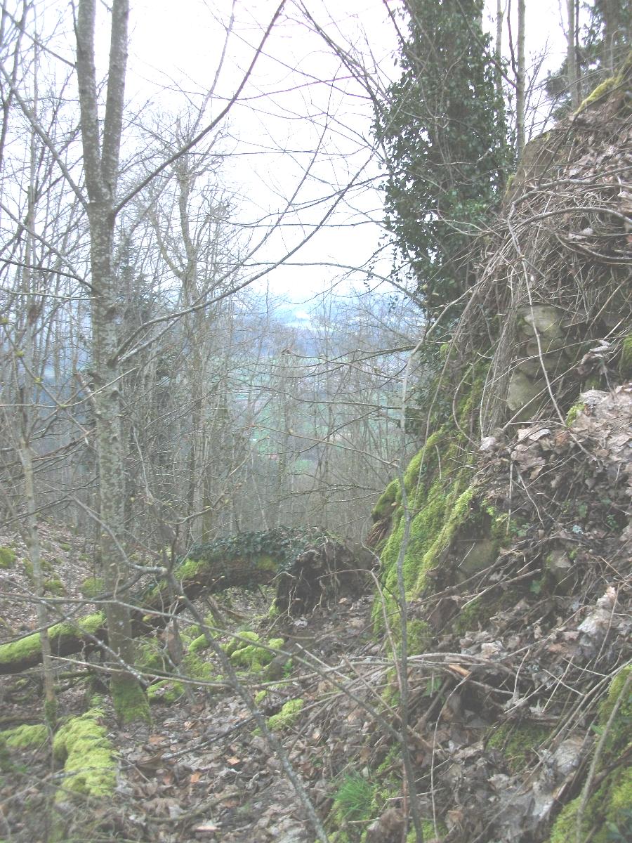 Burgruine Geroldseck