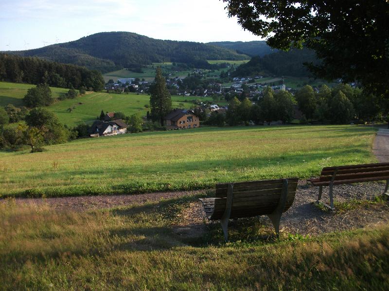 Burgruine Luetzelhardt