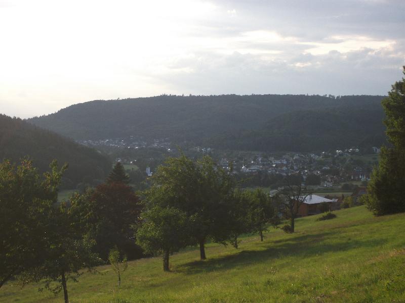 Burgruine Luetzelhardt