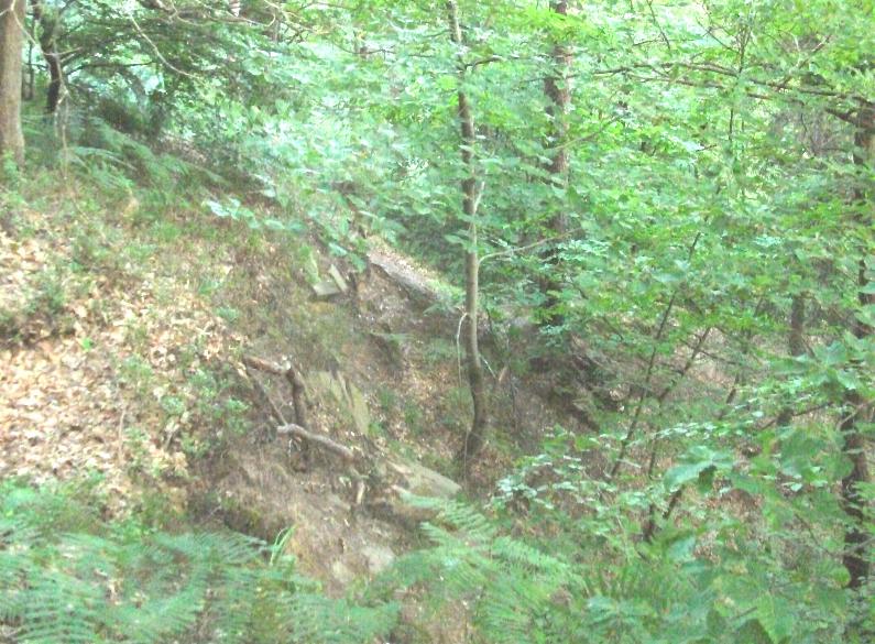 Burgruine Luetzelhardt