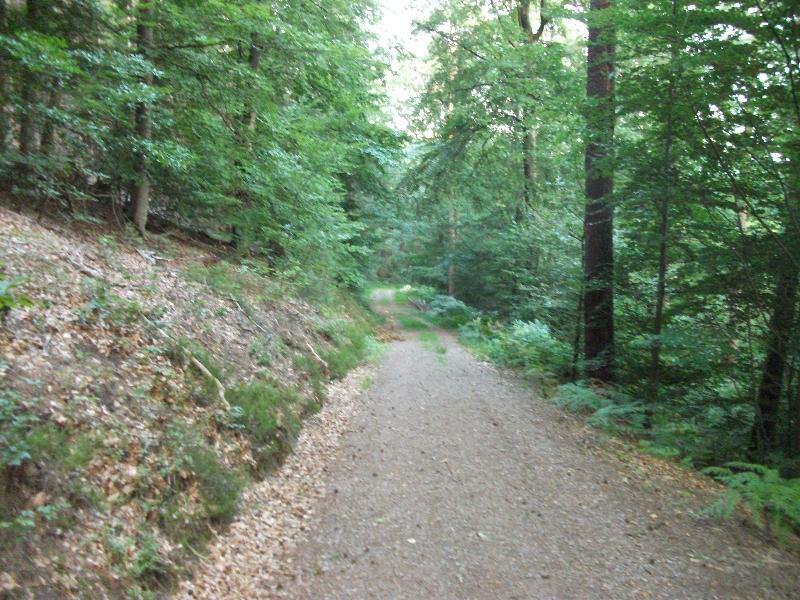 Burgruine Luetzelhardt