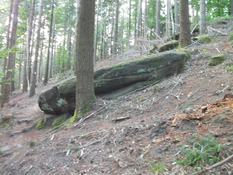 Burgruine Luetzelhardt