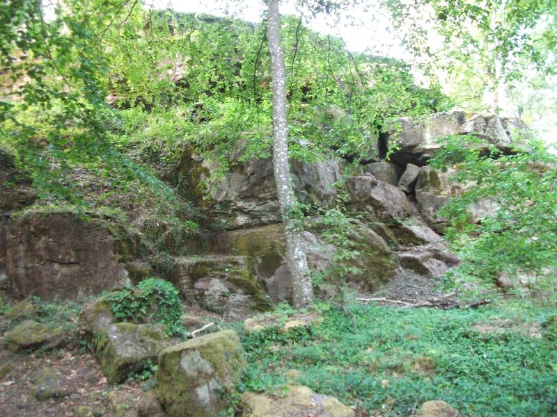 Burgruine Luetzelhardt