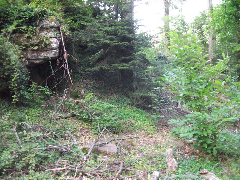 Burgruine Luetzelhardt