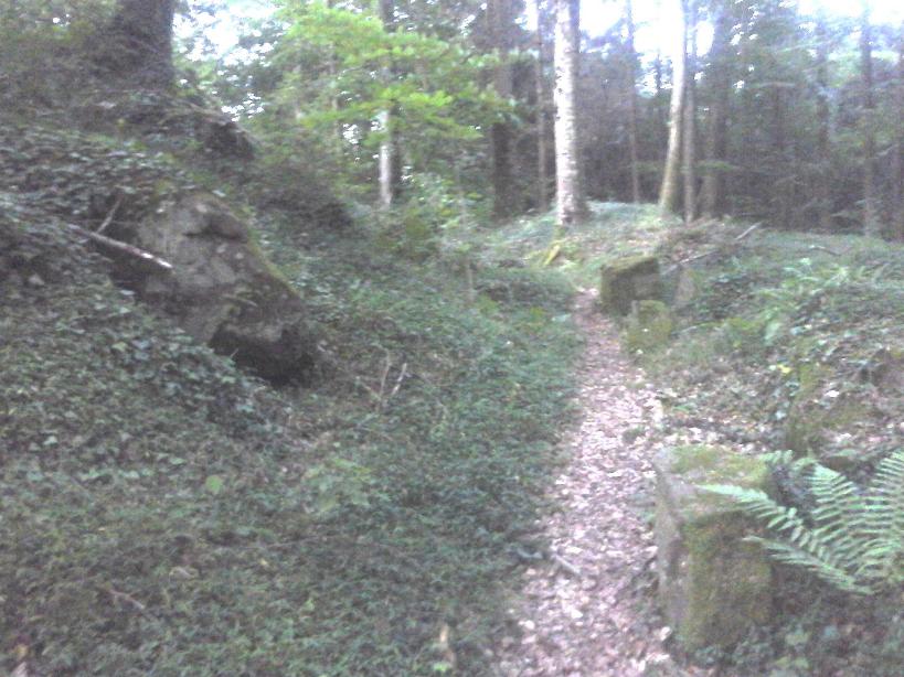 Burgruine Luetzelhardt