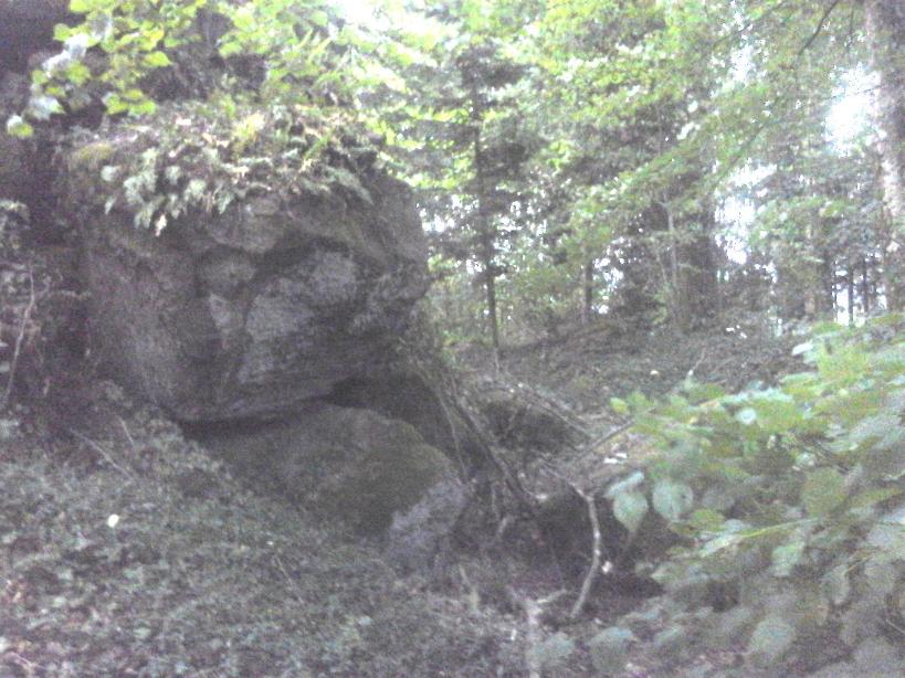 Burgruine Luetzelhardt