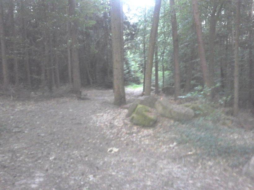 Burgruine Luetzelhardt