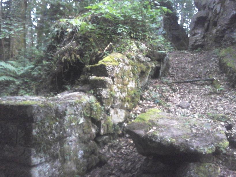 Burgruine Luetzelhardt