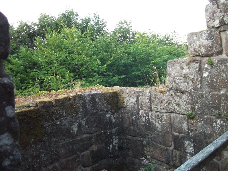Burgruine Luetzelhardt