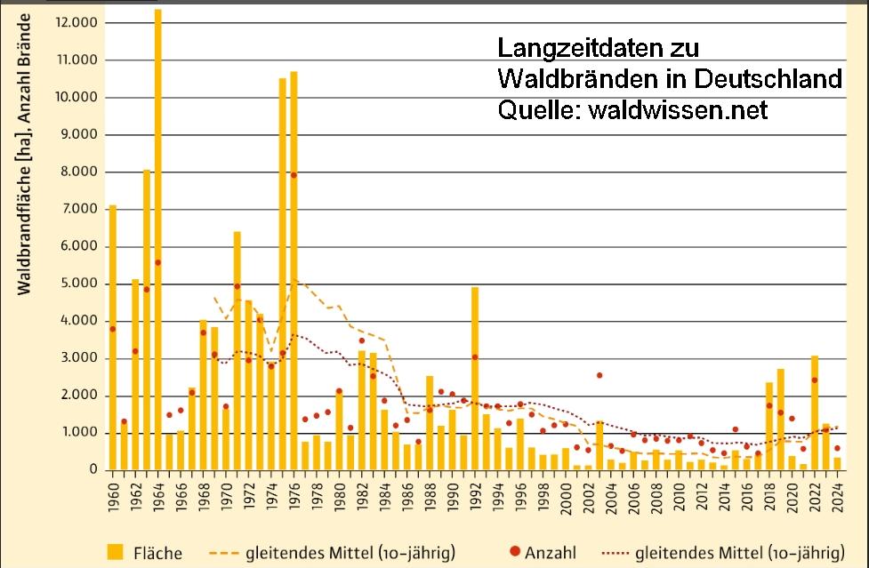 Waldbrandstatistik Deutschland seit 1950