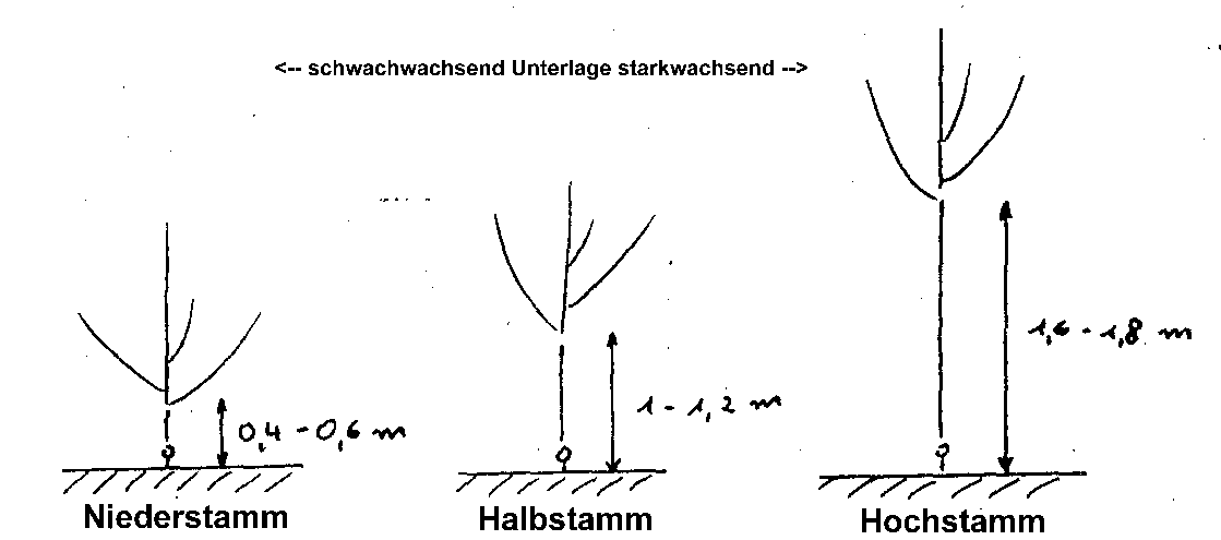 Bauformen