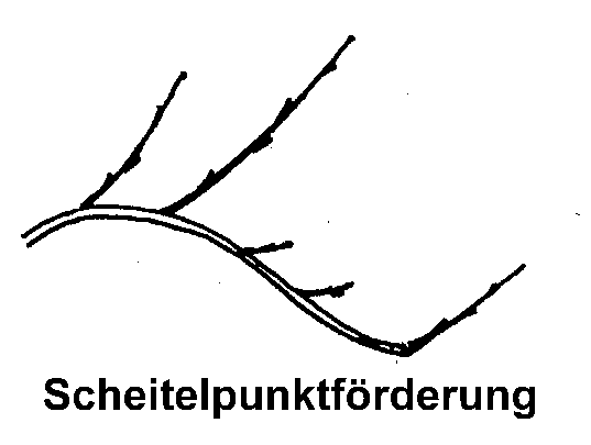 Triebbildung