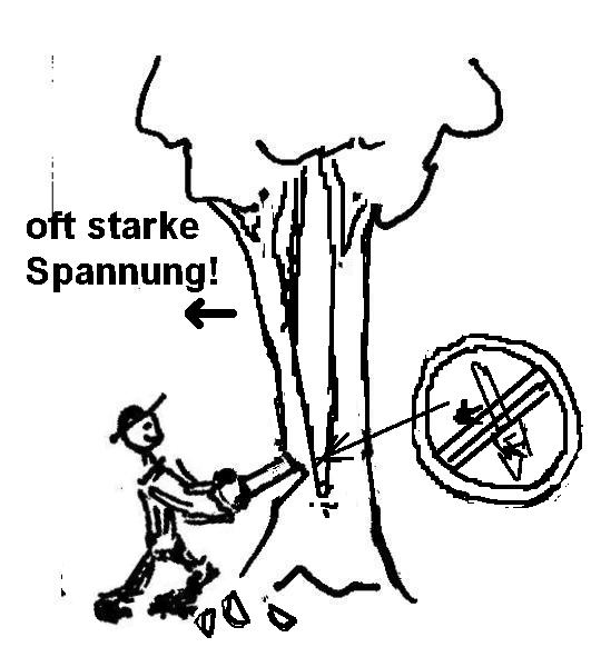 Comic Sägekurs