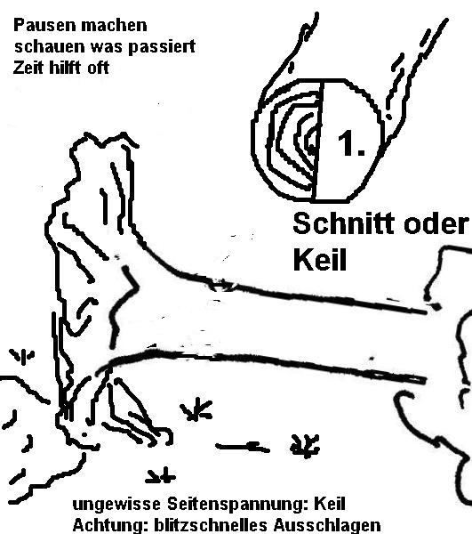 Comic Sägekurs