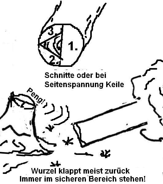 Comic Sägekurs