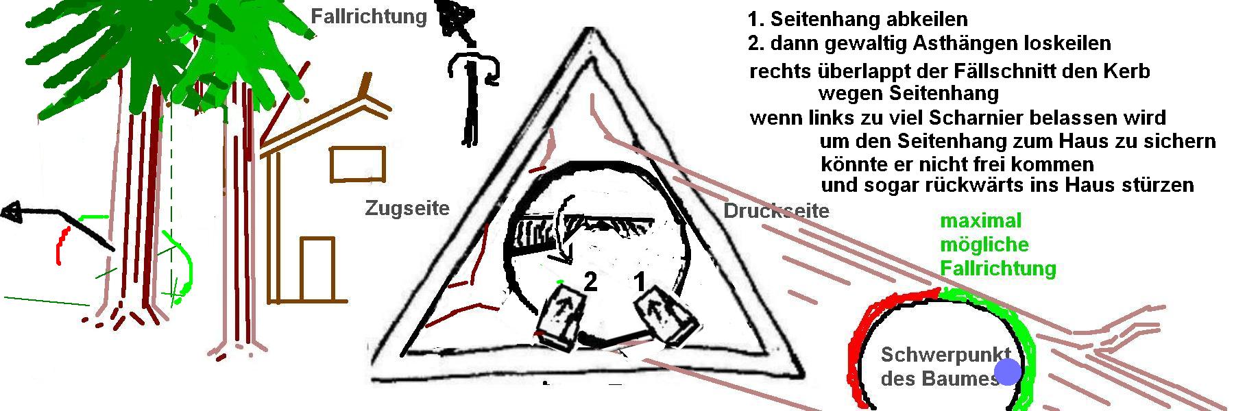 Comic Sägekurs
