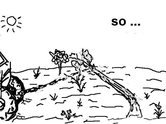 Comic Sägekurs